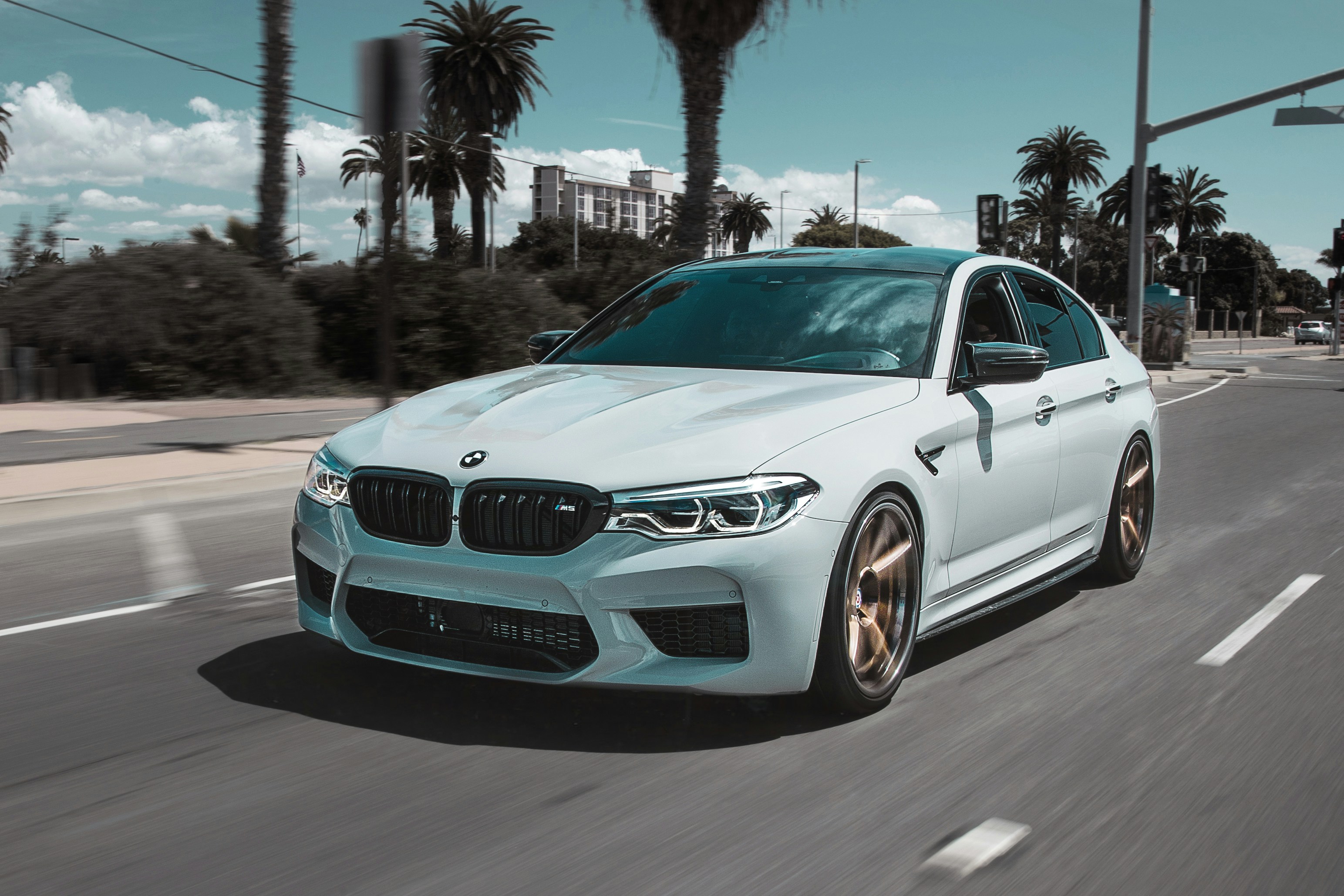A white BMW M5 driving along a palm-lined road